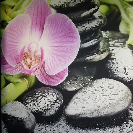 Boutique Bel Sito Wellness & Private Ξενοδοχείο Μπαρντολίνο