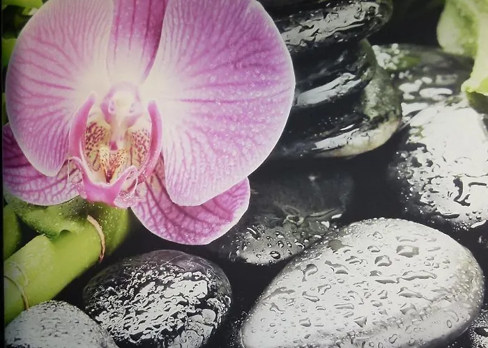 Boutique Bel Sito Wellness & Private Hotel Bardolino